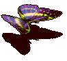 104560.gif