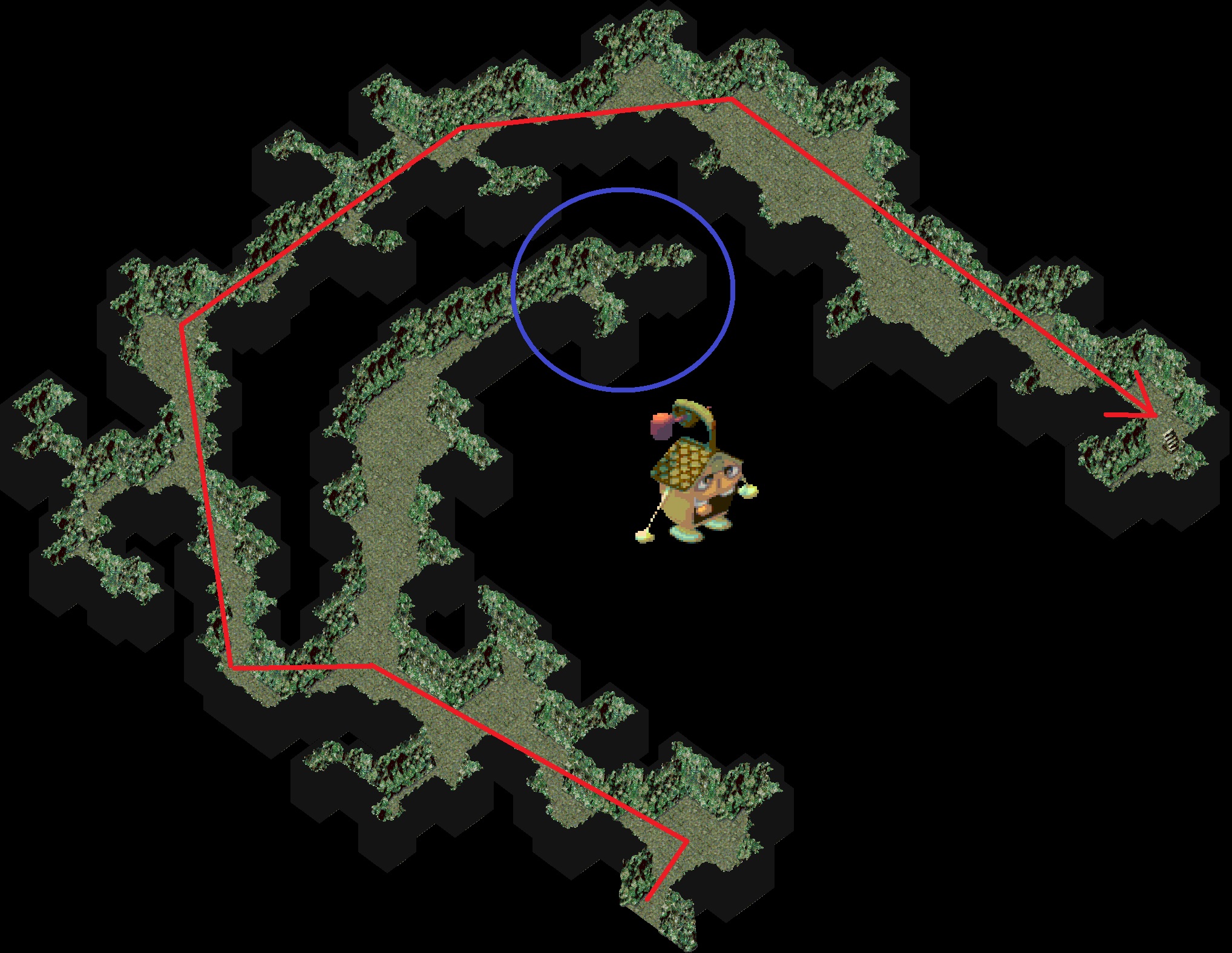 65250.jpg