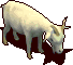 104616.gif