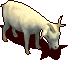 �պ���.gif
