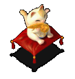 ���B�۰]��.gif