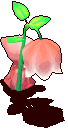 �a���᧯.gif