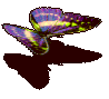 ���ۮR�{��.gif