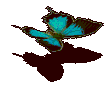 �Ű{��.gif