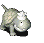 ���t.gif