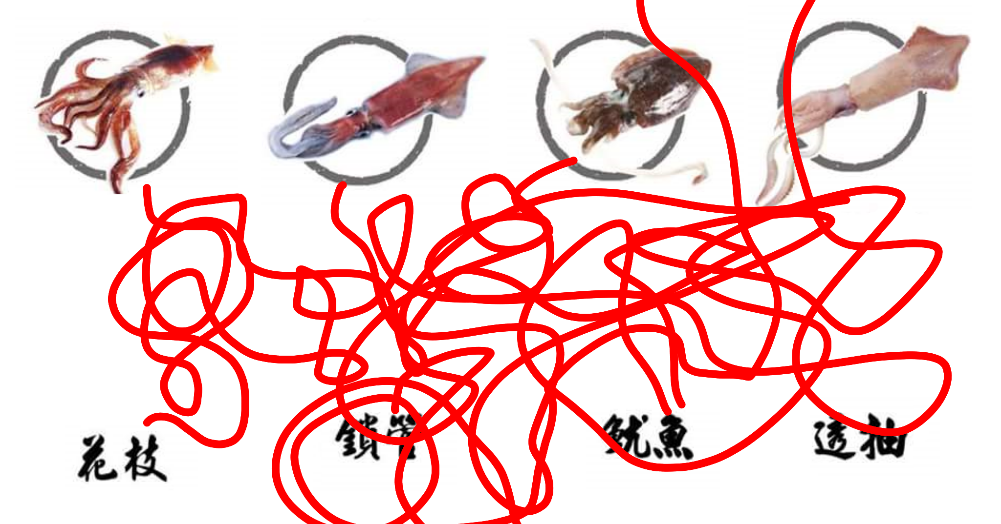 sketch-1554996962297.png