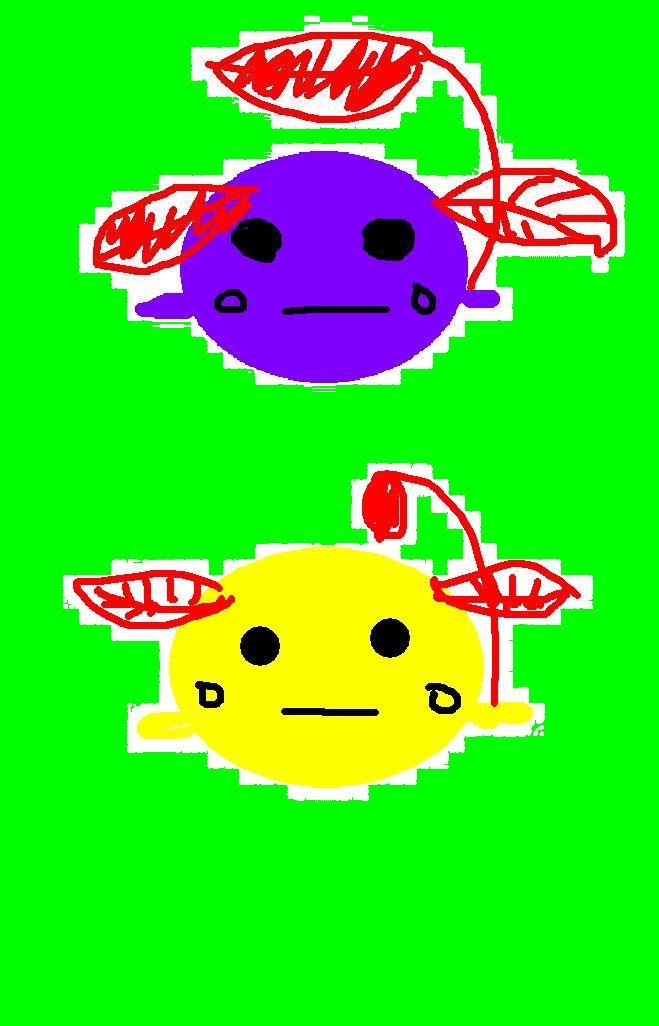 224407xhnnenejn26f8u5n.jpg