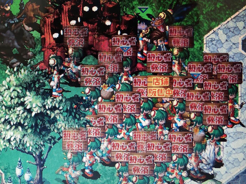 456.jpg