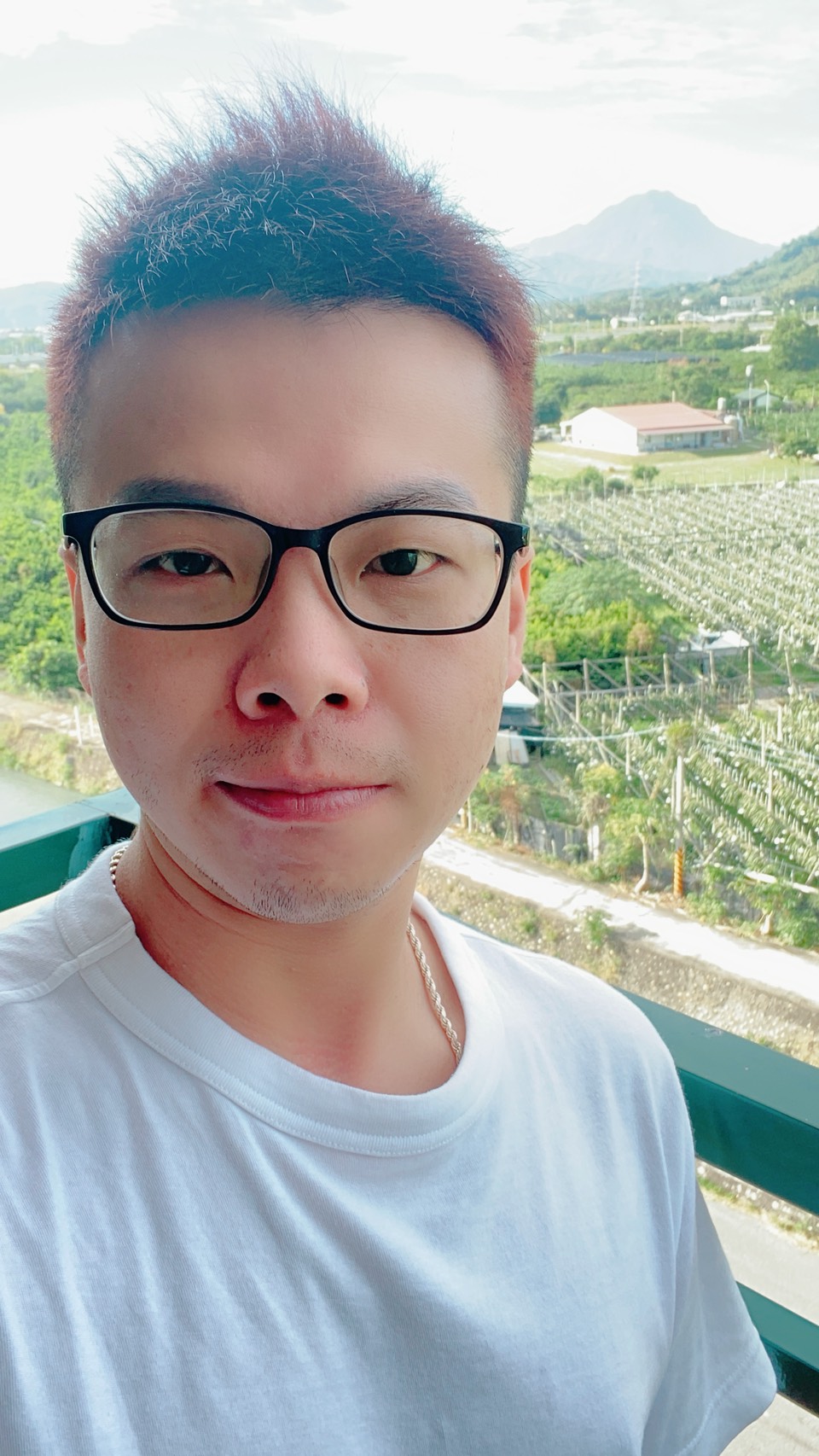 S__41893979.jpg