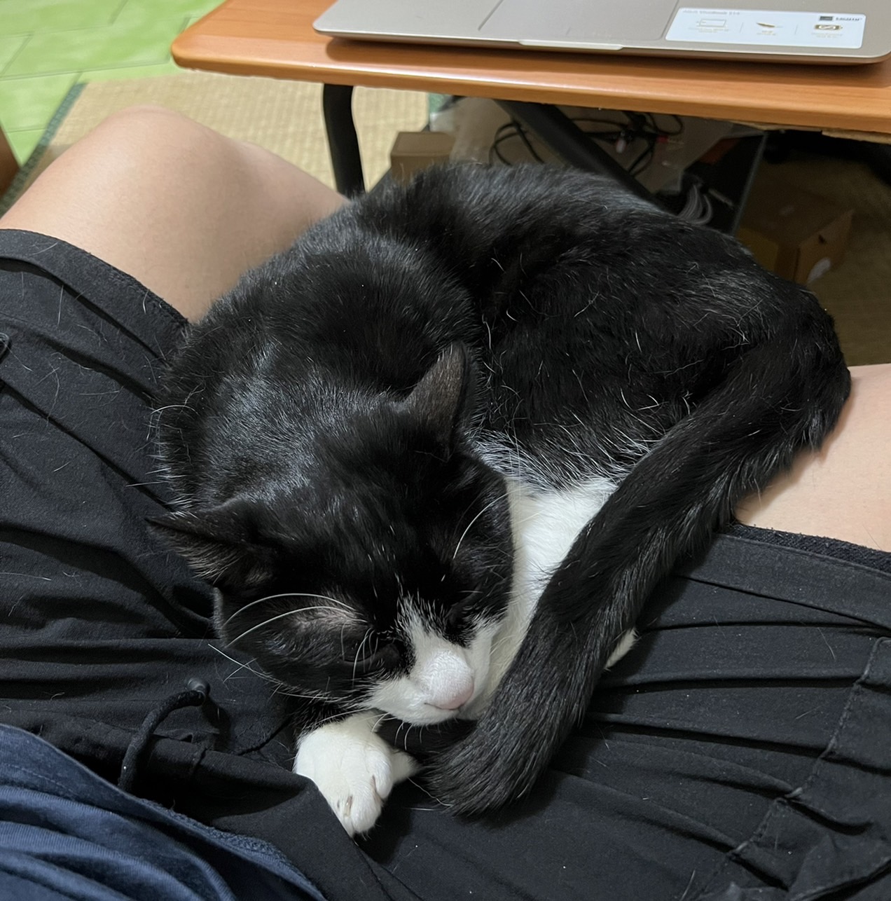 S__61792606.jpg
