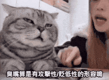 1719448768848.gif