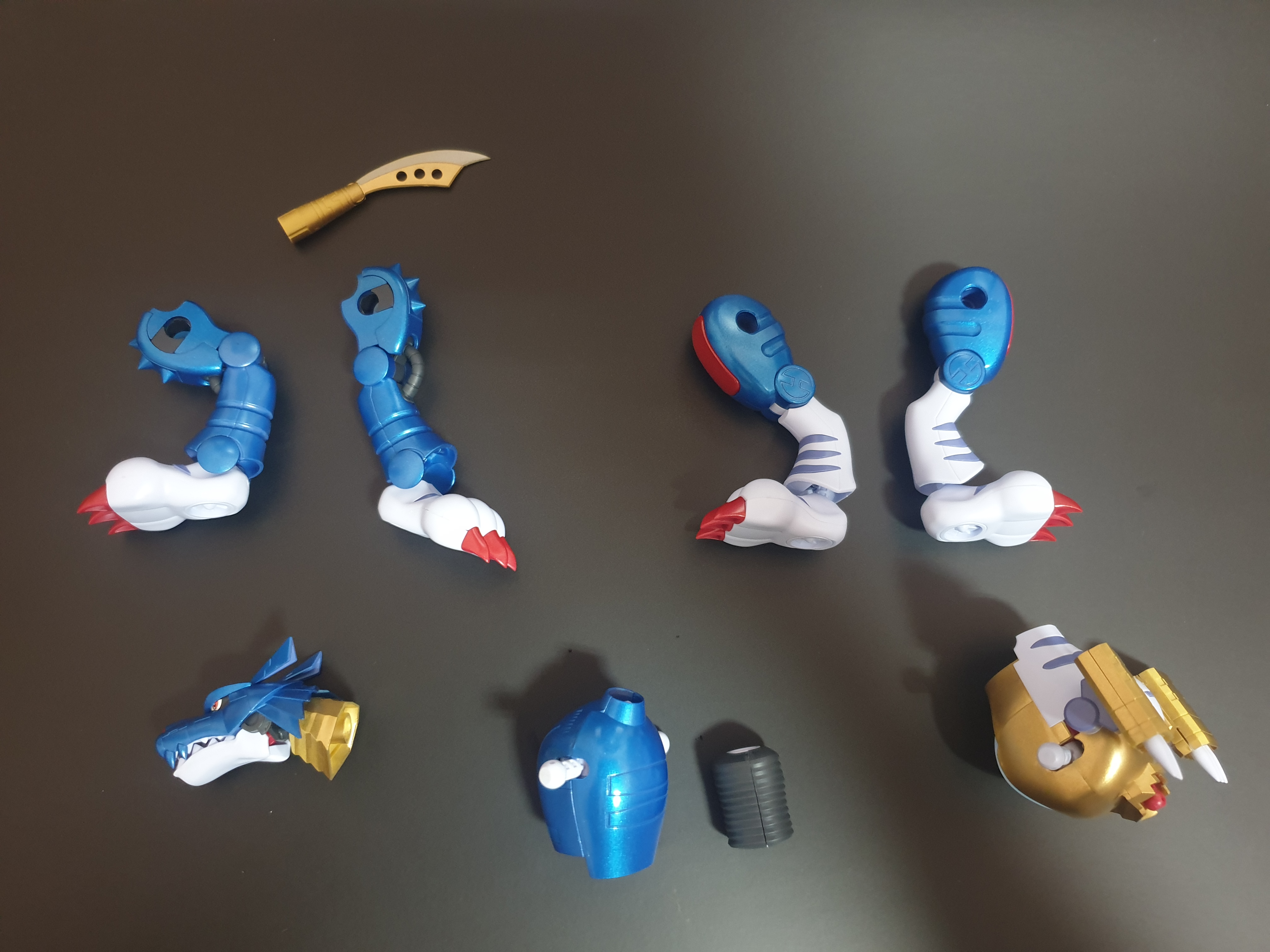 20240710_084306.jpg