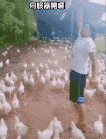 1750674008797.gif