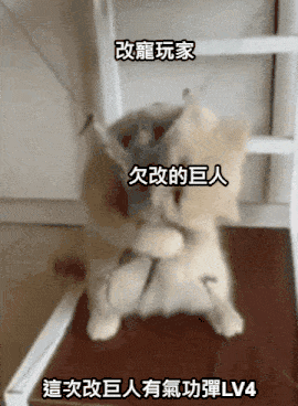 1750673194947.gif
